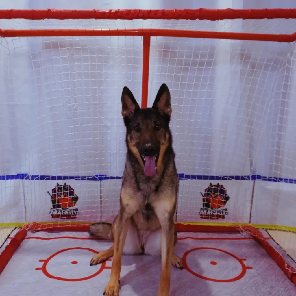 Maggie the Goalie